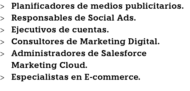   Planificadores de medios publicitarios    Responsables de Social Ads    Ejecutivos de cuentas    Consultores de Mar   