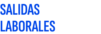 SALIDAS LABORALES