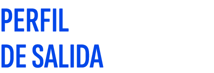 PERFIL DE SALIDA