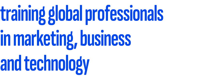 training global professionals in marketing, business and technology