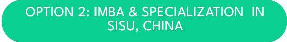 OPTION 2: IMBA & SPECIALIZATION IN SISU, CHIN