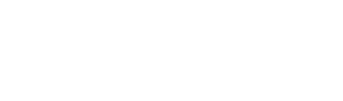 Lead the digital marketing function of a company, being able to elaborate a complete annual digital marketing plan fo...