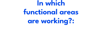 In which functional areas are working?: