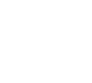  WHY ESIC'S MDM?