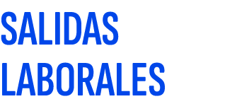 SALIDAS LABORALES