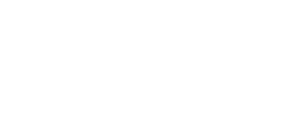MASTER IN INTERNATIONAL BUSINESS