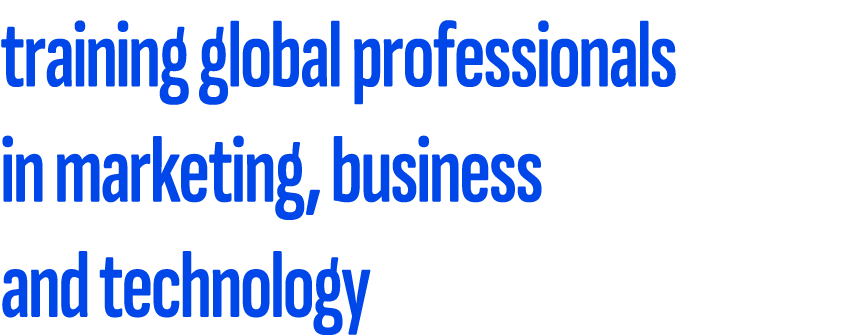 training global professionals in marketing, business and technology