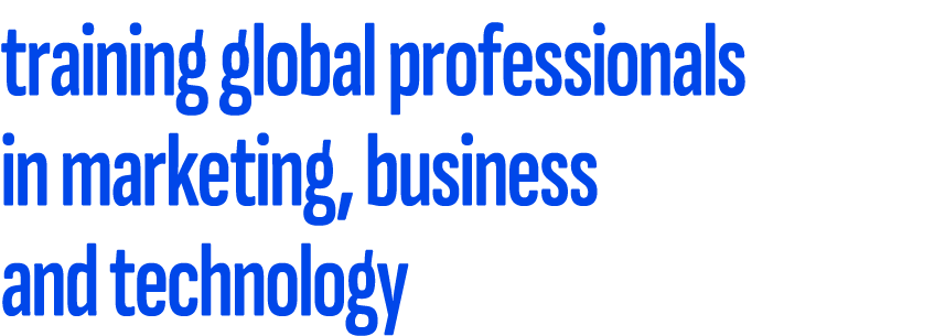 training global professionals in marketing, business and technology