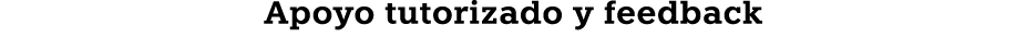 Apoyo tutorizado y feedback