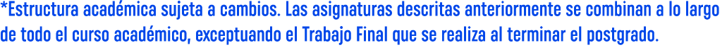 *Estructura académica sujeta a cambios  Las asignaturas descritas anteriormente se combinan a lo largo de todo el cur   