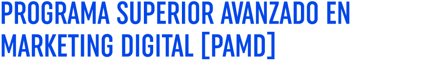 PROGRAMA SUPERIOR AVANZADO EN MARKETING DIGITAL  PAMD 