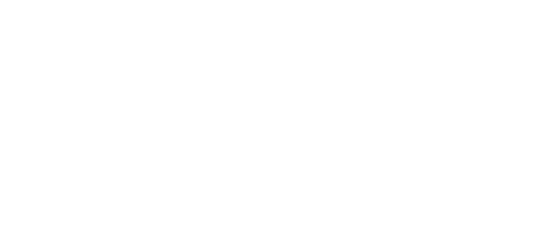 PROGRAMA SUPERIOR DE DESARROLLO DIRECTIVO