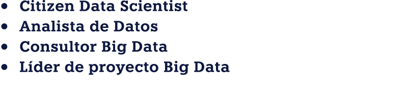• Citizen Data Scientist • Analista de Datos • Consultor Big Data • L der de proyecto Big Data 