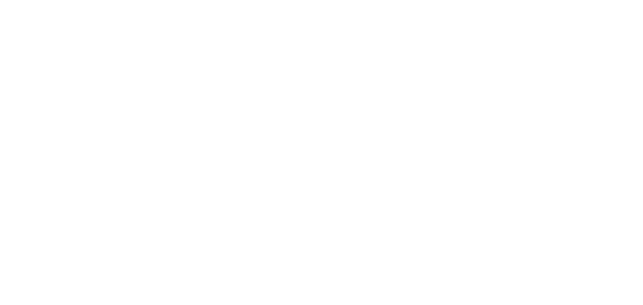 Trabajar los diferentes modelos y herramientas que les permitan elaborar un plan de gestión del talento acorde con lo   