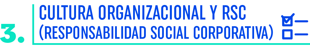 3  Cultura Organizacional