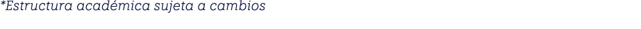 *Estructura académica sujeta a cambios