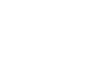   POR QUÉ EL BMD de ESIC 