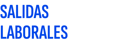 SALIDAS LABORALES