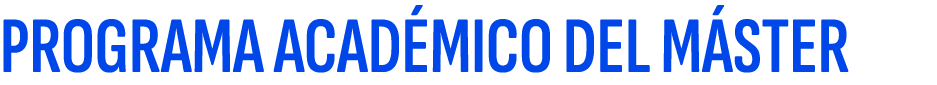 PROGRAMA ACAD MICO DEL M STER