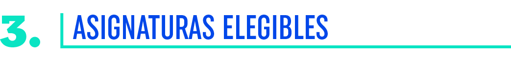 3. Asignaturas Elegibles