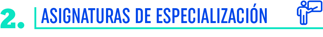 2. Asignaturas Especializacion