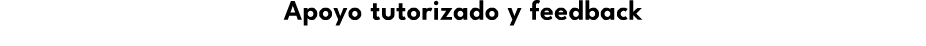 Apoyo tutorizado y feedback