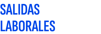 SALIDAS LABORALES