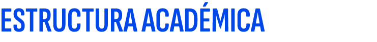 ESTRUCTURA ACAD MICA