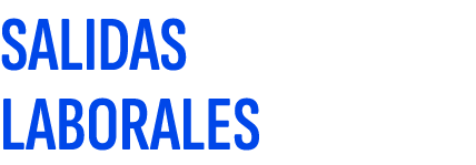 SALIDAS LABORALES