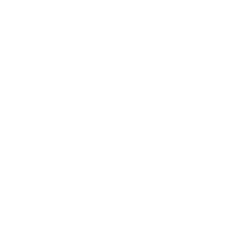 M STER DE FORMACI N PERMANENTE EN CUSTOMER EXPERIENCE & INNOVATION