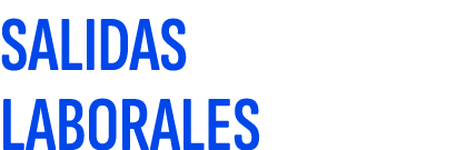 SALIDAS LABORALES