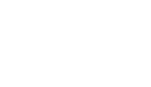 MASTER'S DEGREE IN INTERNATIONAL RELATIONS AND GLOBAL ECONOMY 