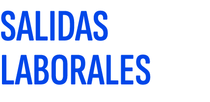 SALIDAS LABORALES