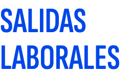 SALIDAS LABORALES