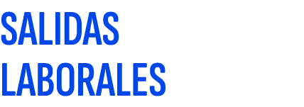 SALIDAS LABORALES
