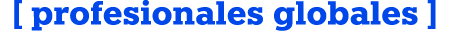   profesionales globales  