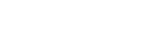 estructura académica