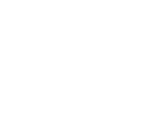 PROGRAMA SUPERIOR AVANZADO EN MARKETING DIGITAL