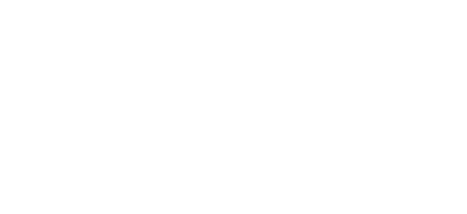 Aportar a los asistentes una visi n global de la direcci n de ventas trabajando las diferentes estrategias empresaria...