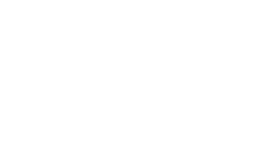 PROGRAMA SUPERIOR EN DIRECCI N DE VENTAS