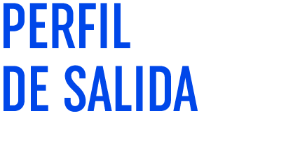 PERFIL DE SALIDA