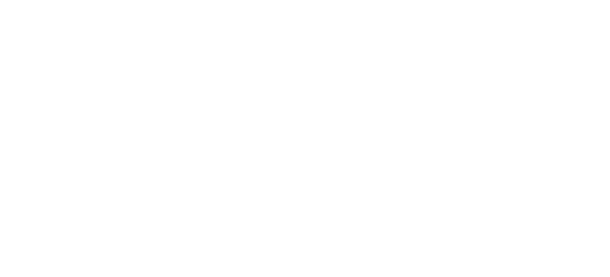 Aportar una visión global de la dirección del talento trabajando las diferentes metodologías para el desarrollo de pe   