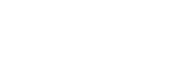 Formar en el diagnóstico, creación y desarrollo del talento que necesita su empresa, considerando las motivaciones de   
