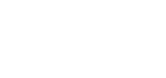 Primeros Puestos en Rankings empresariales y del sector.