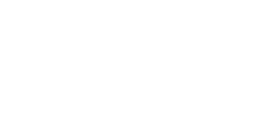 Primeros Puestos en Rankings empresariales y del sector.