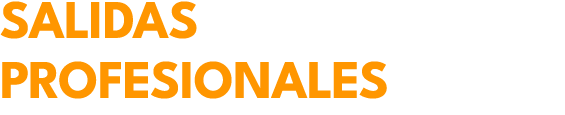 salidas profesionales