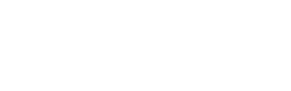 DIRECCI N Y ESTRATEGIA